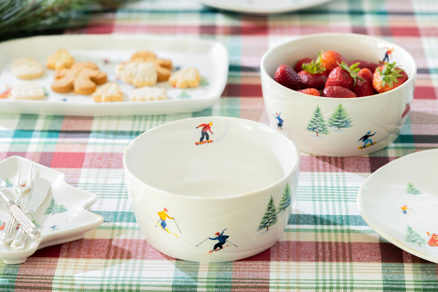 Winter Ski Slope Bowl