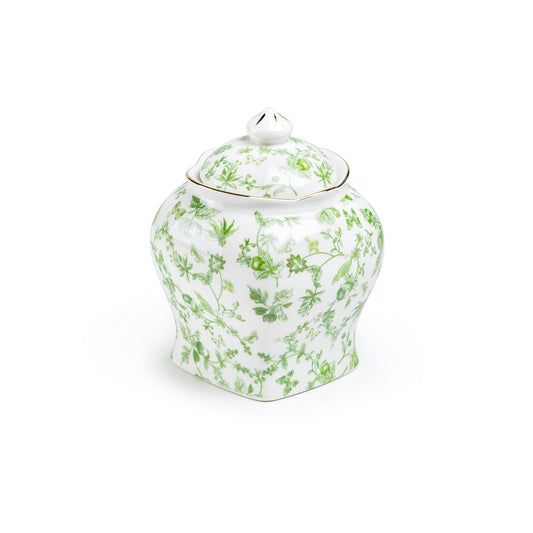 Greeny Garden Fine Porcelain 6.5" Tall Medium Size Canister